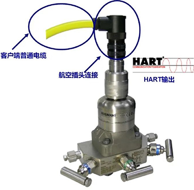 3051S壓力變送器的全封裝結構 3051S壓力變送器的全封裝結構