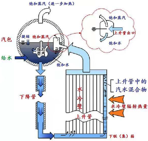 鍋爐水系統結構示意圖 鍋爐水系統結構示意圖